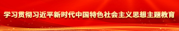 插逼视频播放器学习贯彻习近平新时代中国特色社会主义思想主题教育