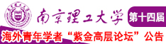 特大骚屄视频性刺激一区二区南京理工大学第十四届海外青年学者紫金论坛诚邀海内外英才！